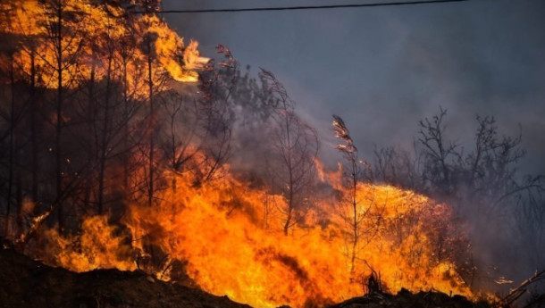 Greece had 1,470 fires in July, climate change, arson, negligence blamed