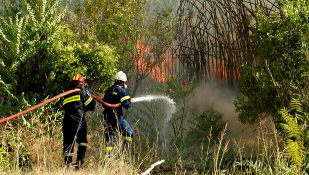 This July the worst for Greece in terms of wildfires since 2008