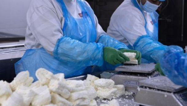 Agriculture Ministry to tighten penalties for PDO halloumi cheese