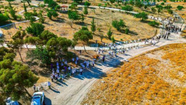 Thousands of new trees planted in hedgerows in Cyprus through European project