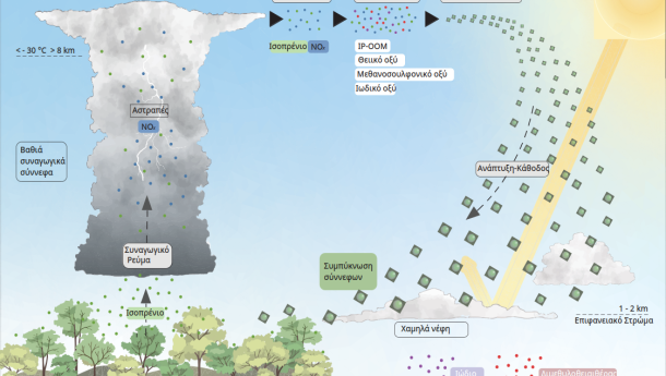 Cyprus Institute Researchers Participate in Groundbreaking Research Highlighting Crucial Role Of Isoprene, Released by Trees, in The Fight Against Global Warming