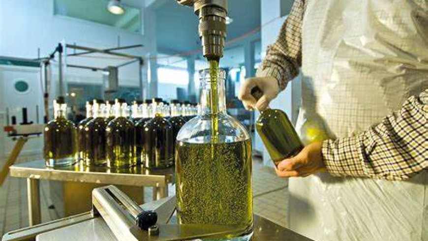 ‘Liquid gold’ rush: Greece’s surging olive oil price lures exporters — and thieves