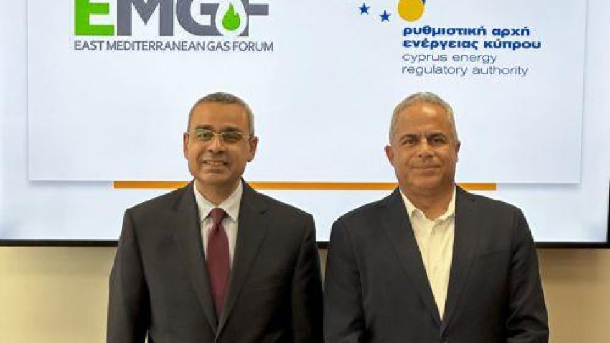 EMGF Advisory Committee discusses gas prospects in the Mediterranean