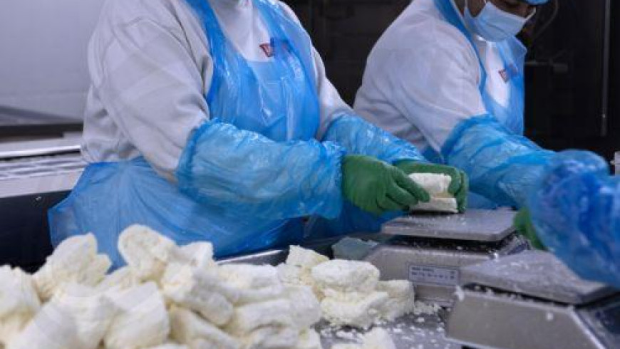 Agriculture Ministry to tighten penalties for PDO halloumi cheese