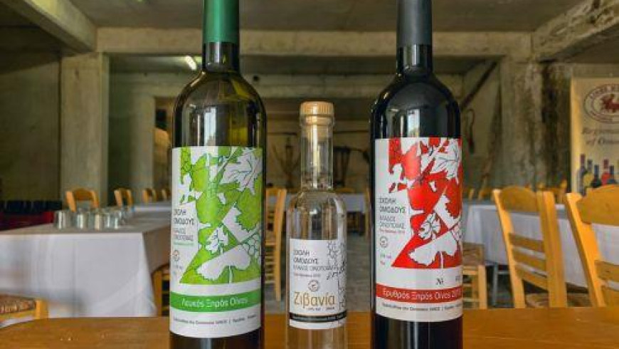 Cypriot wines cover 55% of local wine market, parliamenary committee hears