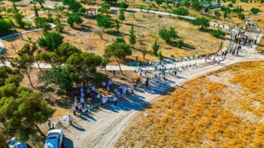 Thousands of new trees planted in hedgerows in Cyprus through European project